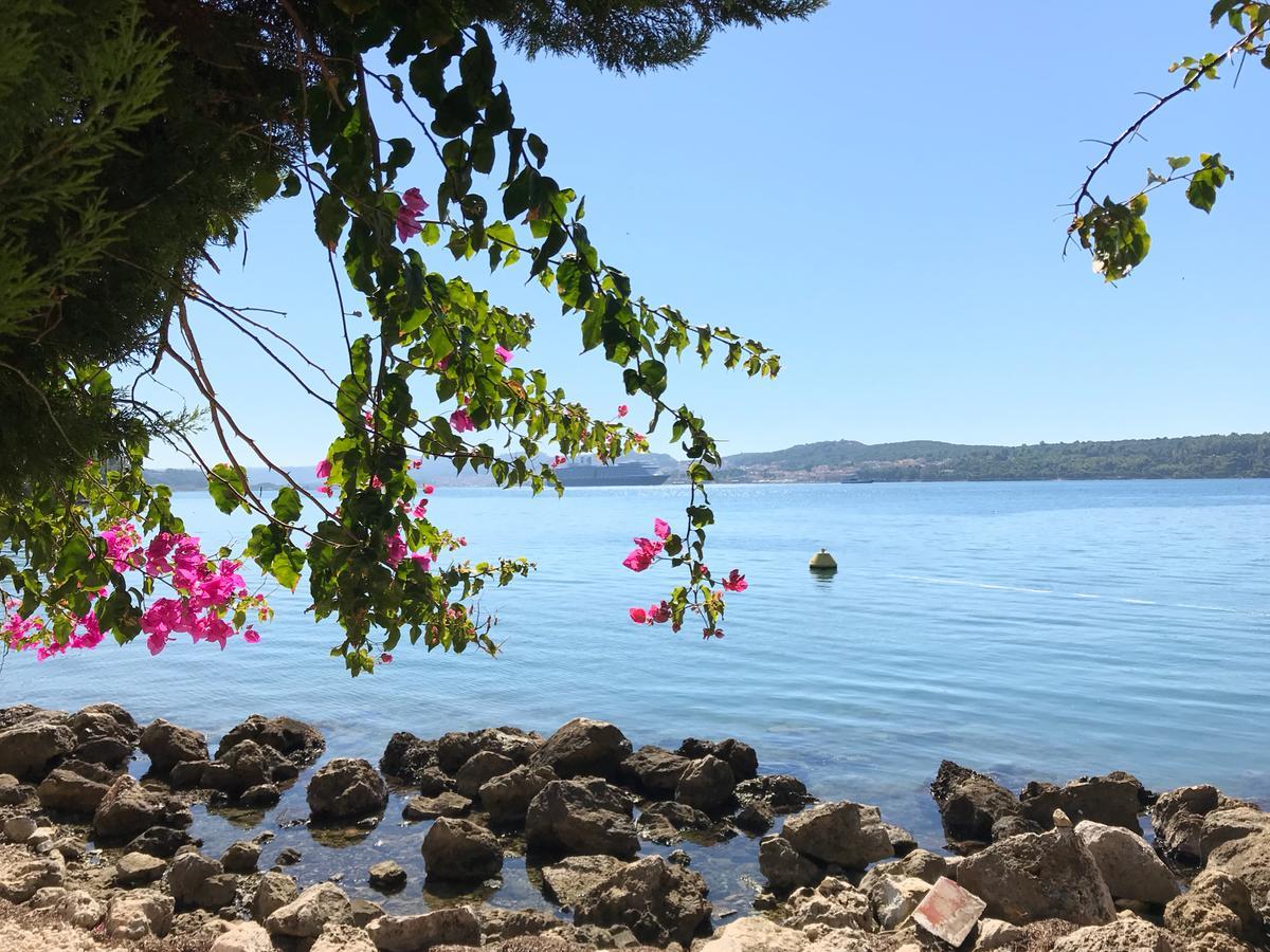 Katarina Apartments Kefalonia - Sea View Аргостолион Экстерьер фото